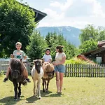 Daire Urlaubsland Sonnfeld Flachau