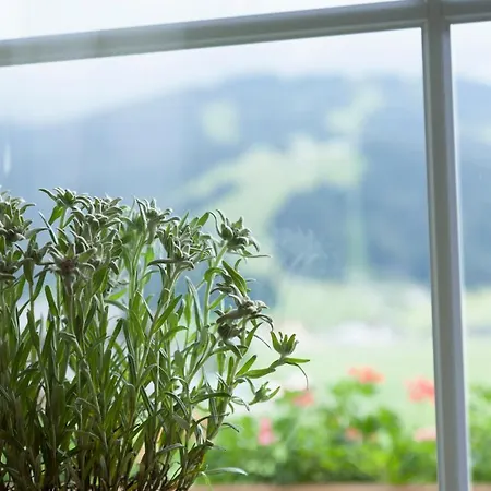 Urlaubsland Sonnfeld Apartamento *