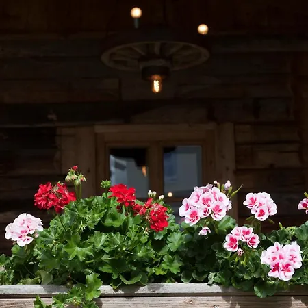 Urlaubsland Sonnfeld * Flachau