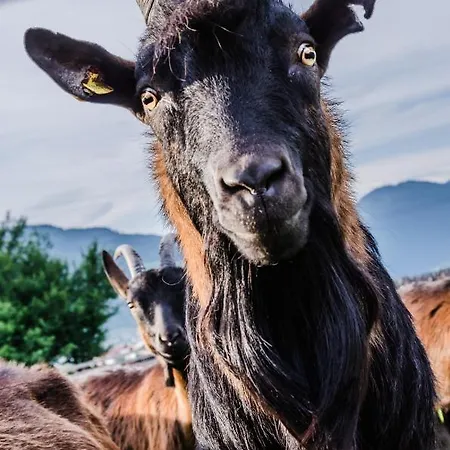 Urlaubsland Sonnfeld